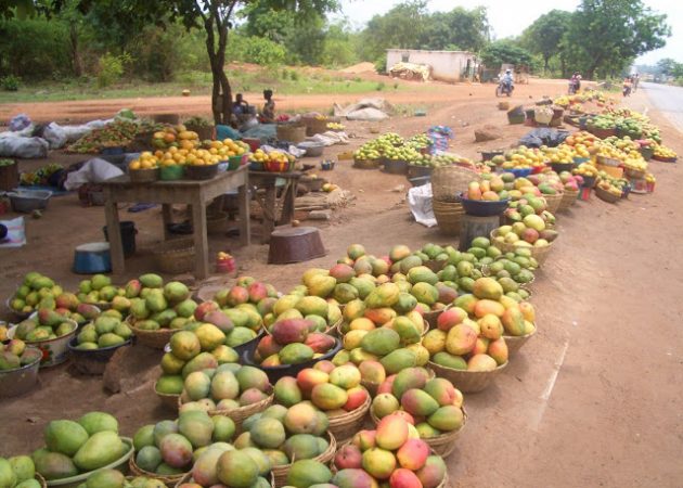 Una africanista en Benin: Costumbres