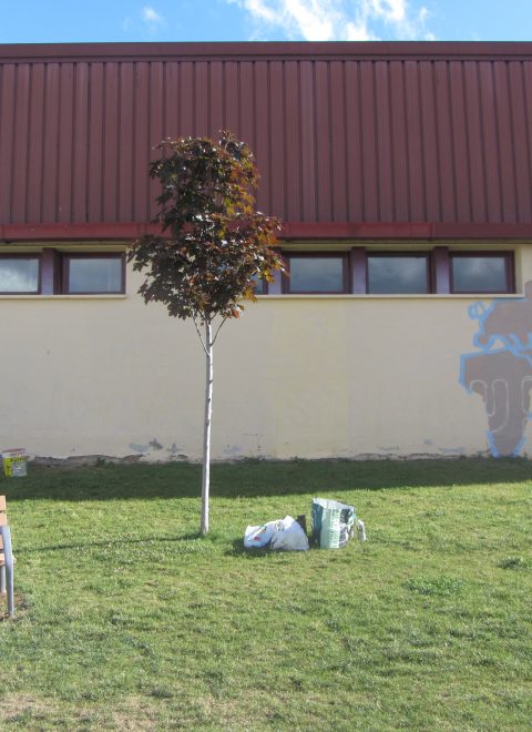 Colegio Ramiro de Maeztu, Oyon - Derecho a la Libre circulación de las personas – 21 de mayo de 2015